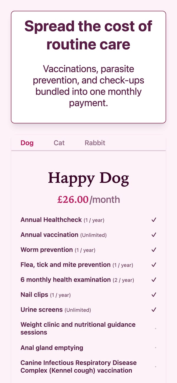 Berry theme pet care plan example