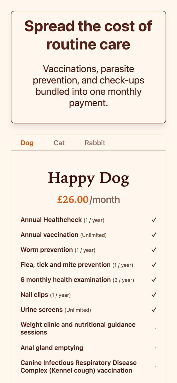 Sunset theme pet care plan example